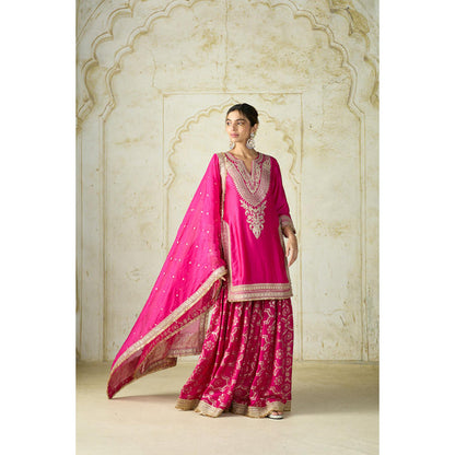 Gopi Vaid Ameena Sharara Set