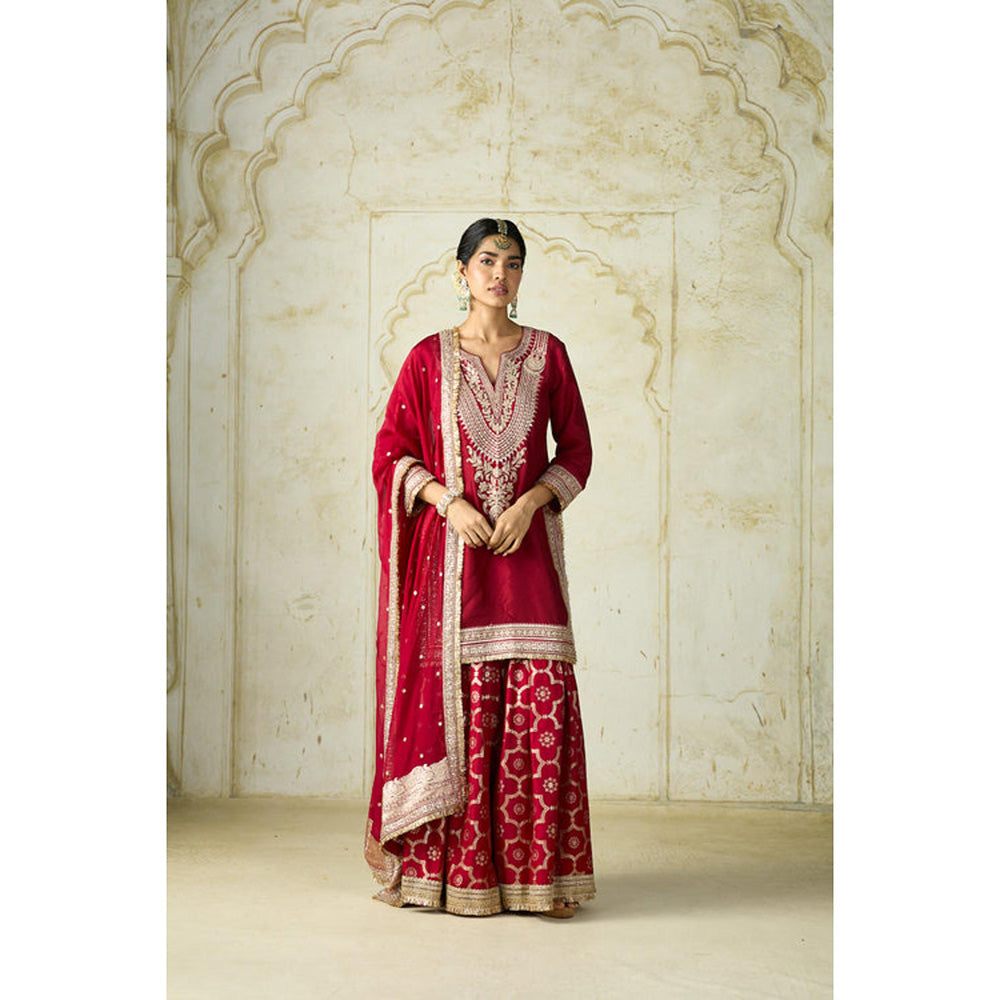 Gopi Vaid Ameena Sharara Set