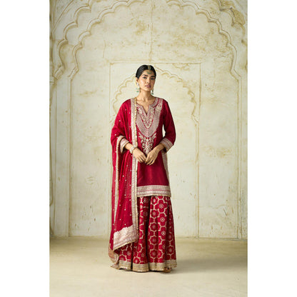 Gopi Vaid Ameena Sharara Set
