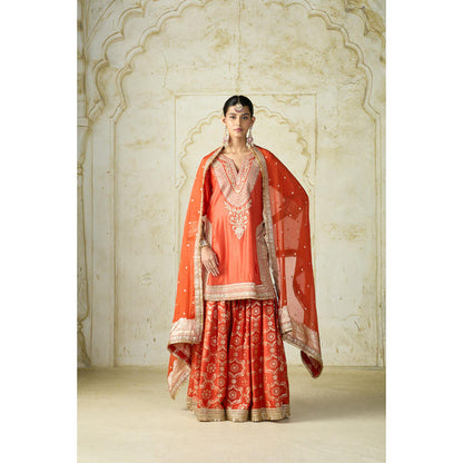 Gopi Vaid Ameena Sharara Set