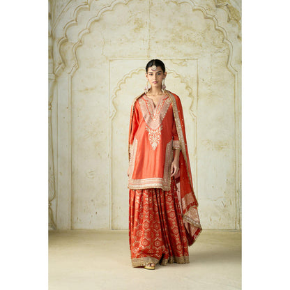 Gopi Vaid Ameena Sharara Set