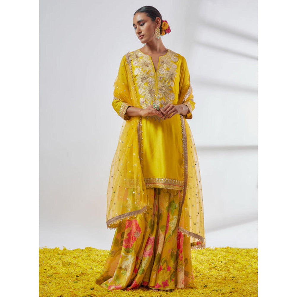 Gopi Vaid Anjali Sharara Set