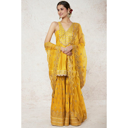 Gopi Vaid Nabha Sharara Set