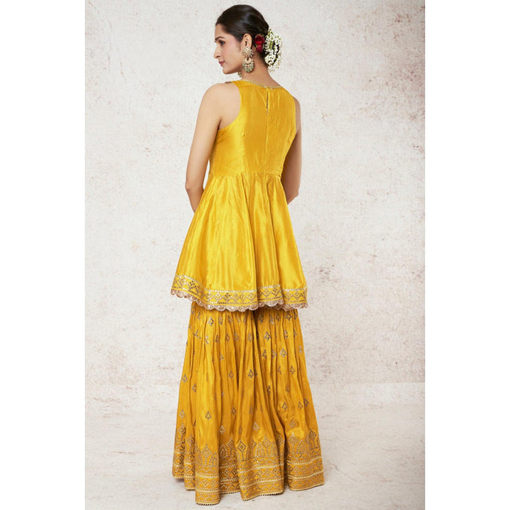 Gopi Vaid Nabha Sharara Set