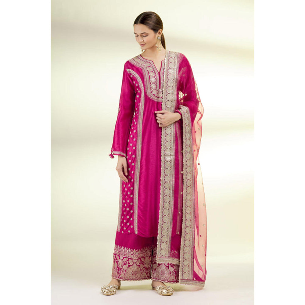 Gopi Vaid Muzzafar Palazzo Set