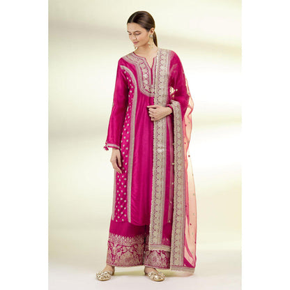 Gopi Vaid Muzzafar Palazzo Set