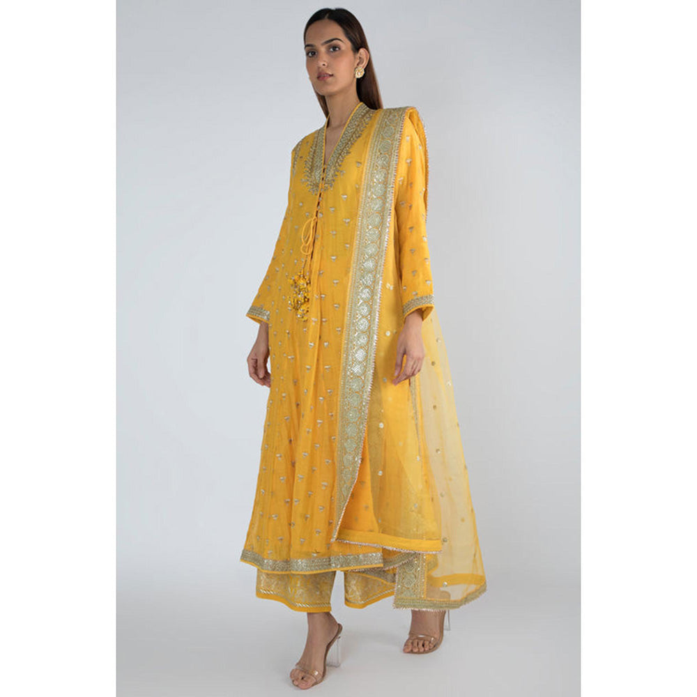 Gopi Vaid Meera Jacket Palazzo Set