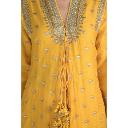 Gopi Vaid Meera Jacket Palazzo Set