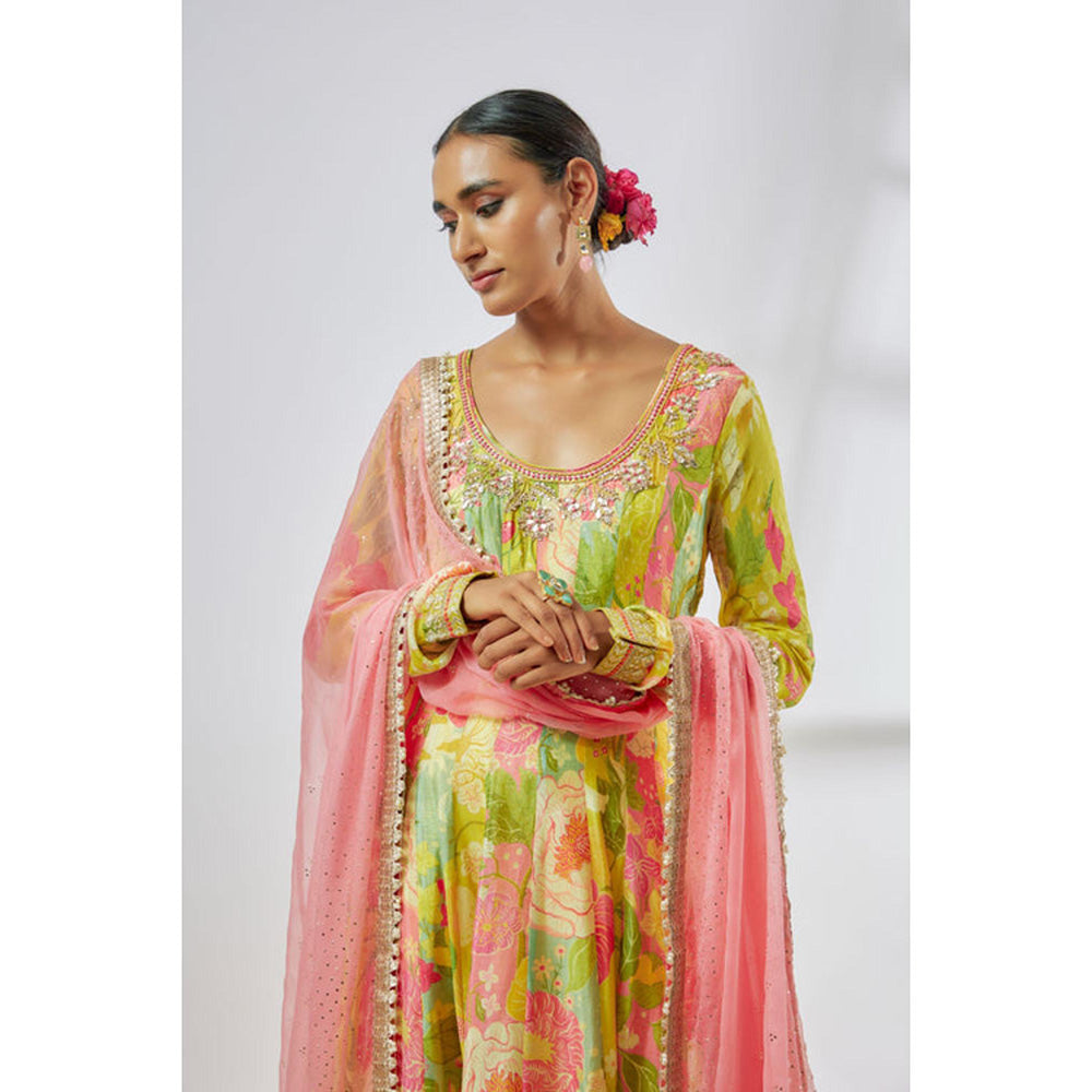 Gopi Vaid Deepti Anarkali set-Hebah Patel