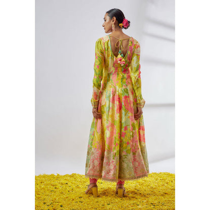 Gopi Vaid Deepti Anarkali set-Hebah Patel