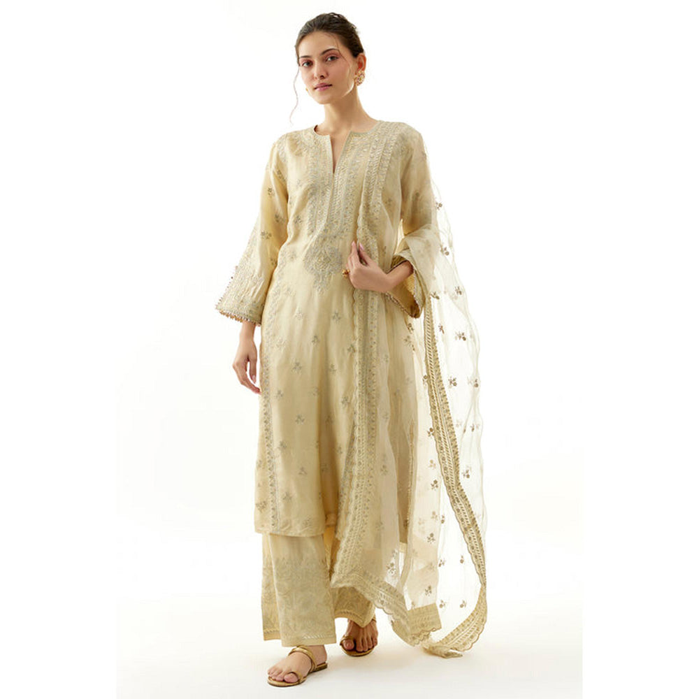 Gopi Vaid New Rati Palazzo Set