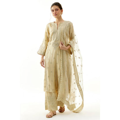 Gopi Vaid New Rati Palazzo Set