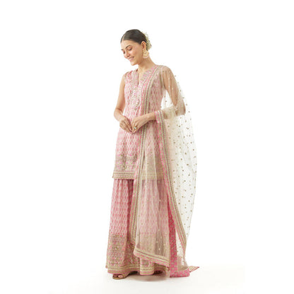 Gopi Vaid Dhruvi Sharara Set