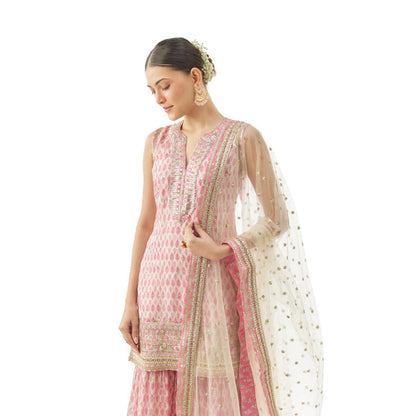Gopi Vaid Dhruvi Sharara Set