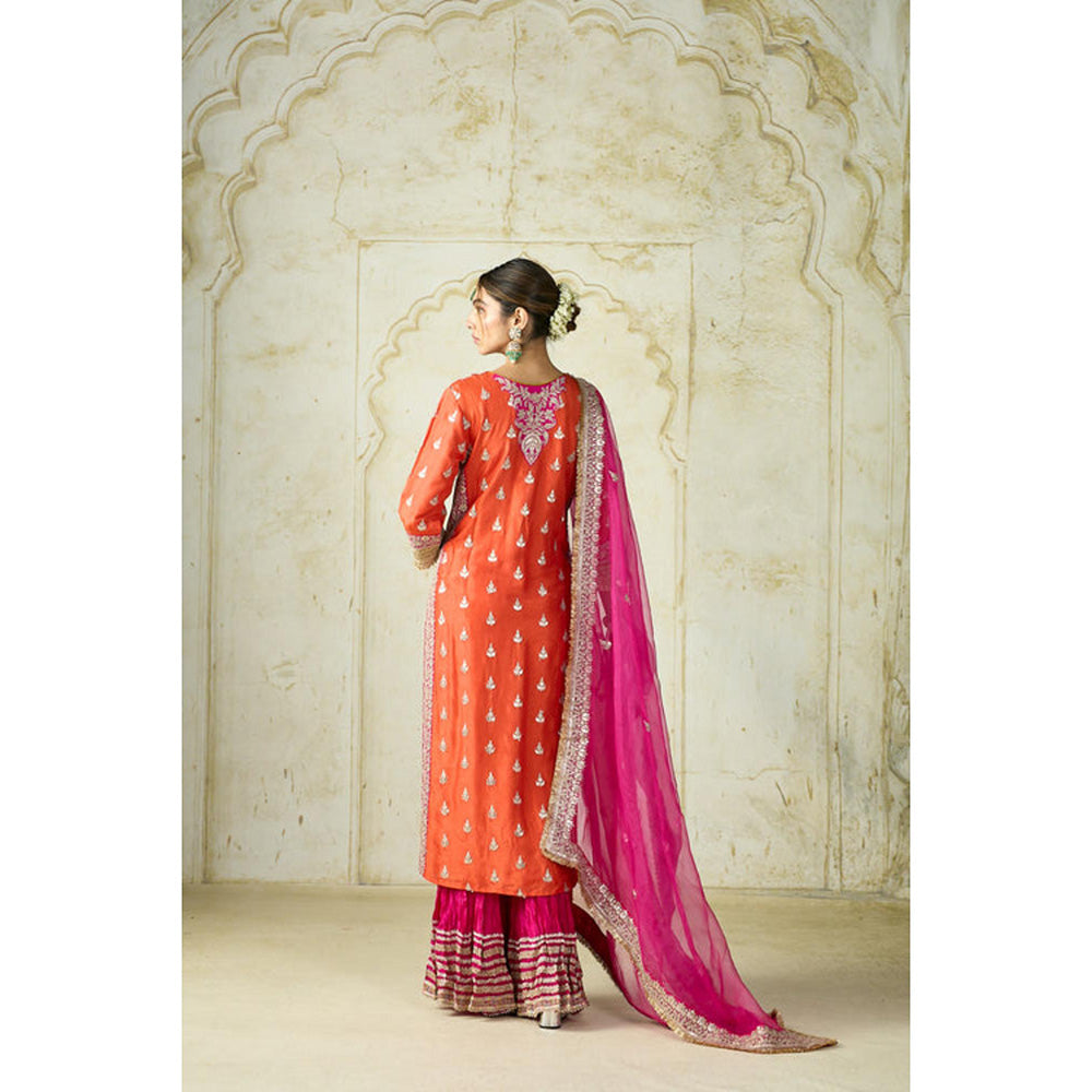 Gopi Vaid Fitoor Sharara Set