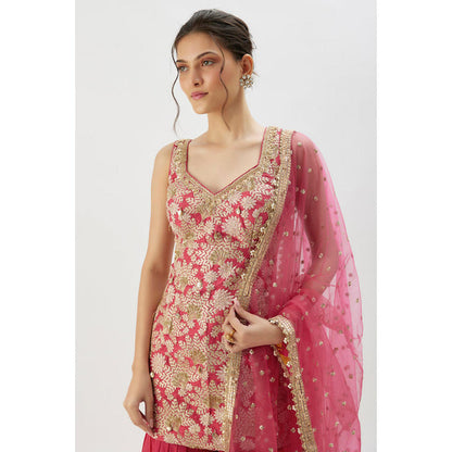 Gopi Vaid Gita Sharara Set