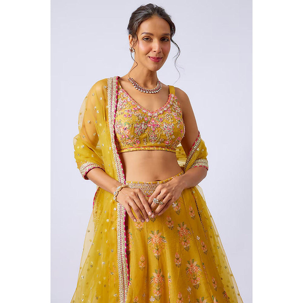 Gopi Vaid Malini Lehenga with Blouse and Dupatta