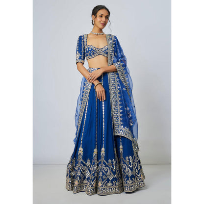Gopi Vaid Ananya Lehenga with Blouse and Cape