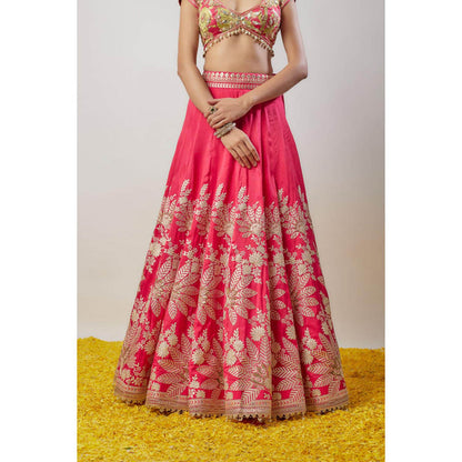 Gopi Vaid Alaya Lehenga with Blouse and Dupatta