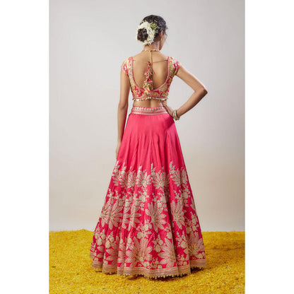 Gopi Vaid Alaya Lehenga with Blouse and Dupatta