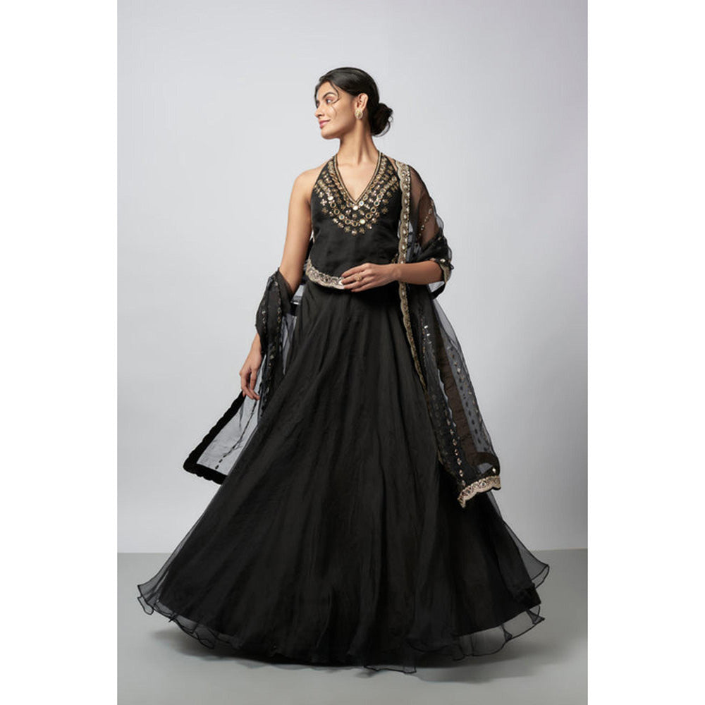 Gopi Vaid Aashreen Lehenga with Blouse and Dupatta
