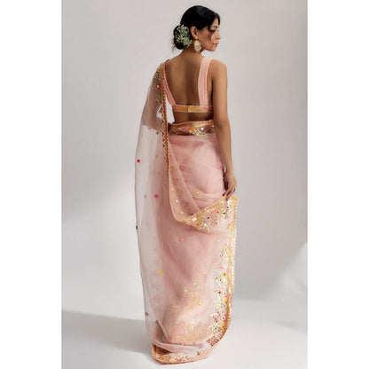 Gopi Vaid Ayana Saree with Stitched Blouse