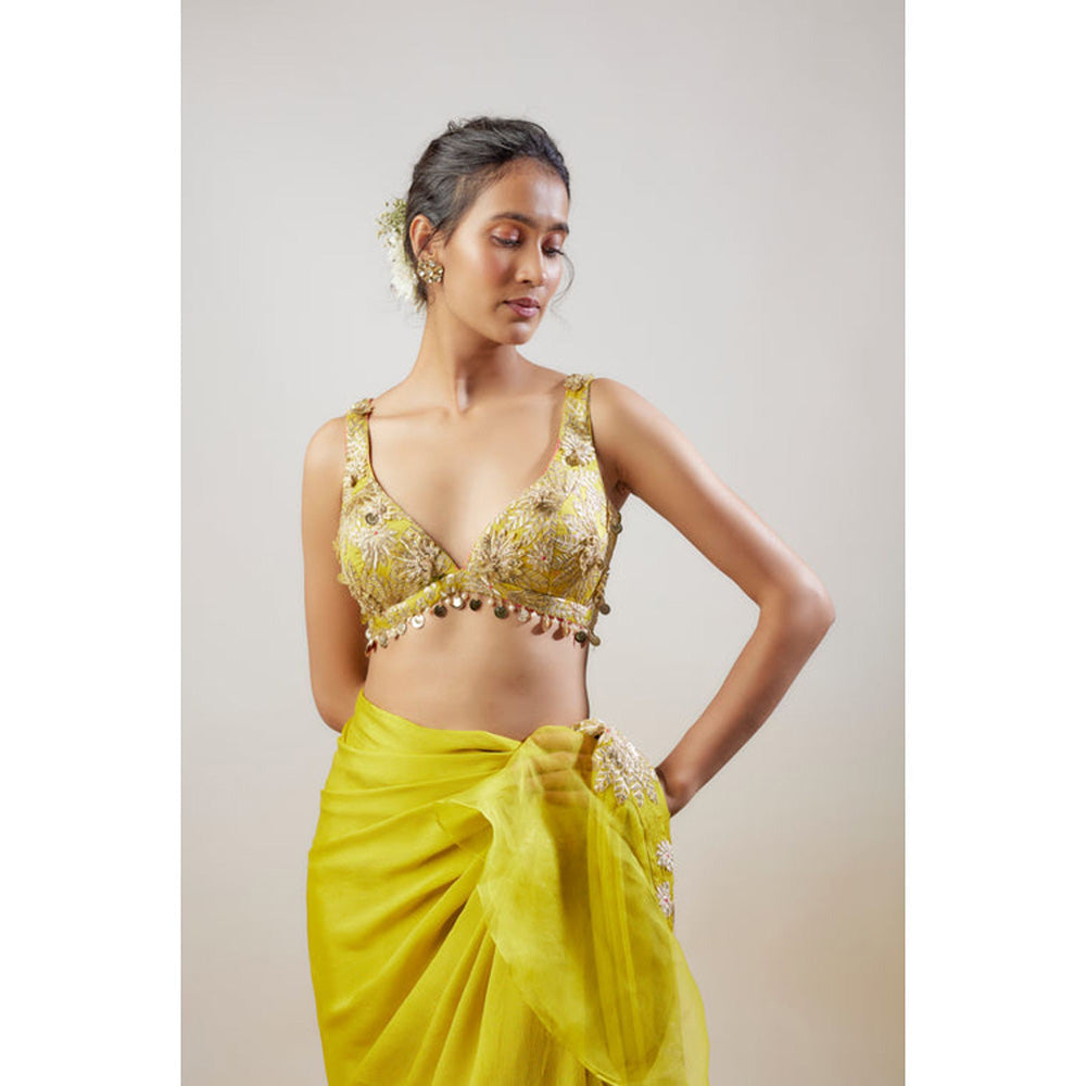 Gopi Vaid Divya Saree with Stitched Blouse