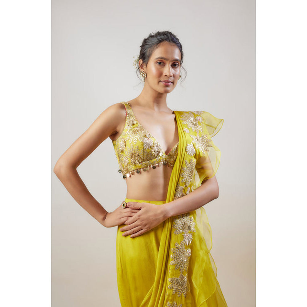 Gopi Vaid Divya Saree with Stitched Blouse