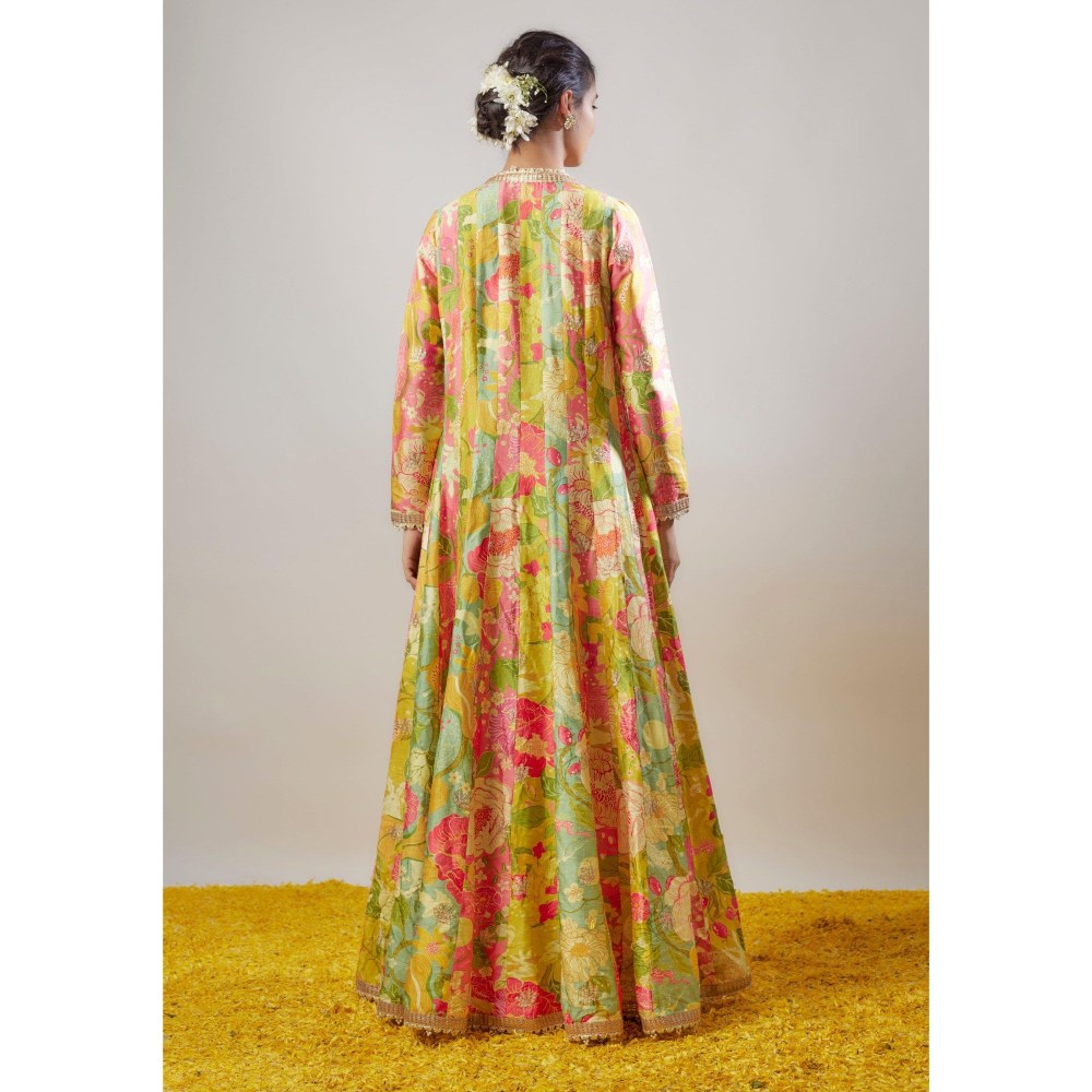 Gopi Vaid Parul Multicolor Blouse with Palazzo and Jacket