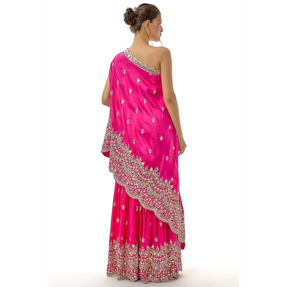 Gopi Vaid Akasa Pink Top with Sharara
