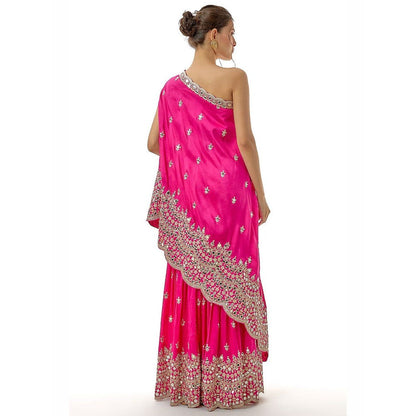 Gopi Vaid Akasa Pink Top with Sharara