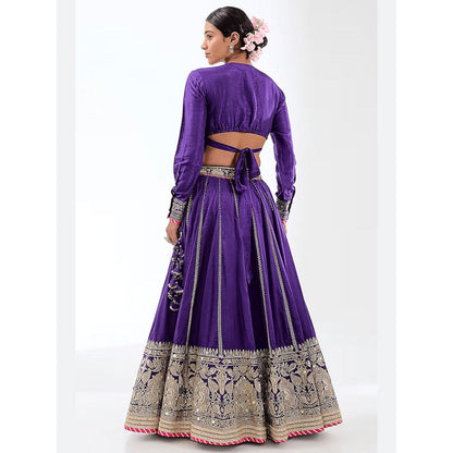 Gopi Vaid Golconda Zeel Purple Blouse with Skirt