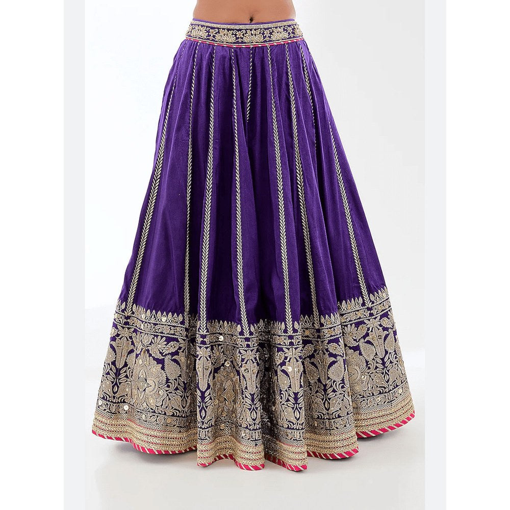 Gopi Vaid Golconda Zeel Purple Blouse with Skirt