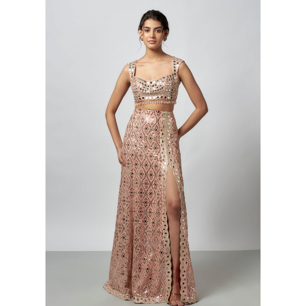 Gopi Vaid Madhulika Pink Blouse with Skirt