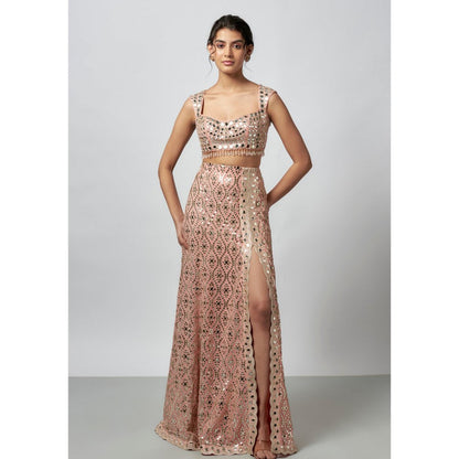 Gopi Vaid Madhulika Pink Blouse with Skirt