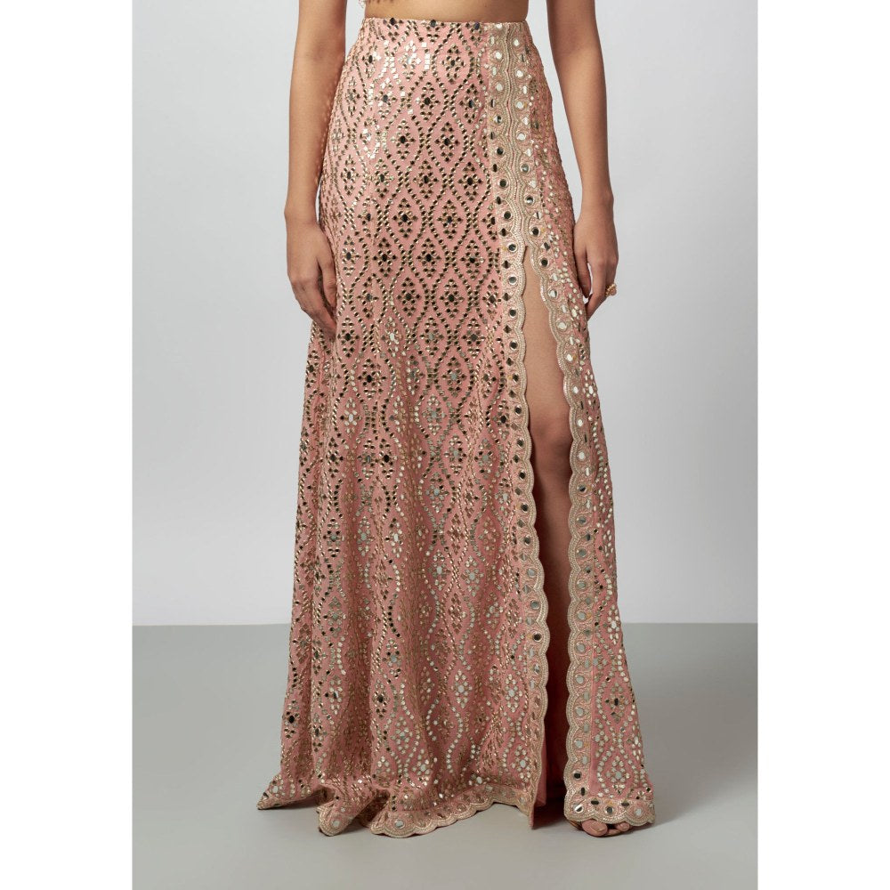 Gopi Vaid Madhulika Pink Blouse with Skirt