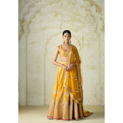 Gopi Vaid Samia Mustard Skirt with Blouse and Dupatta