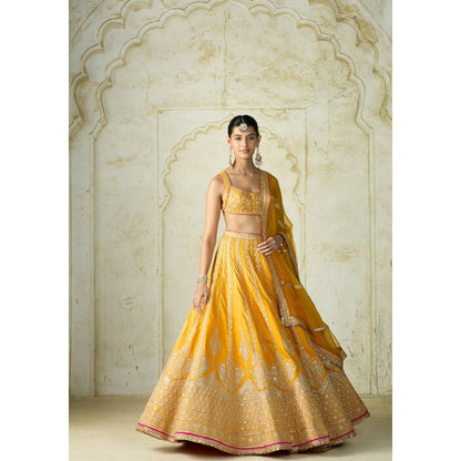 Gopi Vaid Samia Mustard Skirt with Blouse and Dupatta