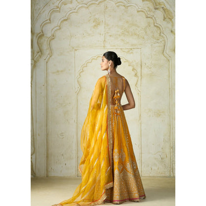 Gopi Vaid Samia Mustard Skirt with Blouse and Dupatta