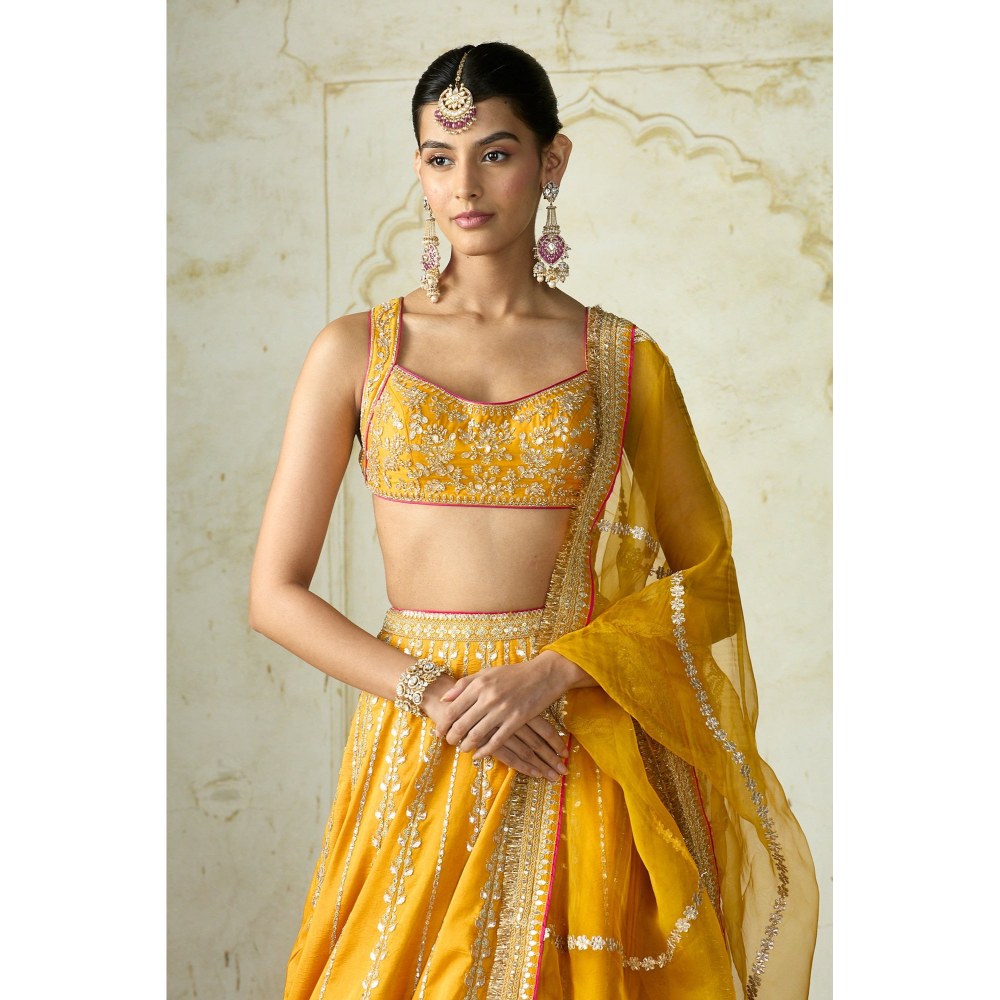 Gopi Vaid Samia Mustard Skirt with Blouse and Dupatta