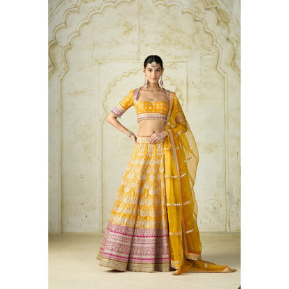 Gopi Vaid Haseena Mustard Skirt with Blouse and Dupatta
