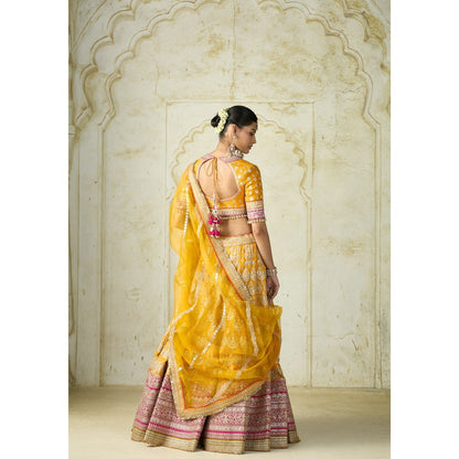 Gopi Vaid Haseena Mustard Skirt with Blouse and Dupatta