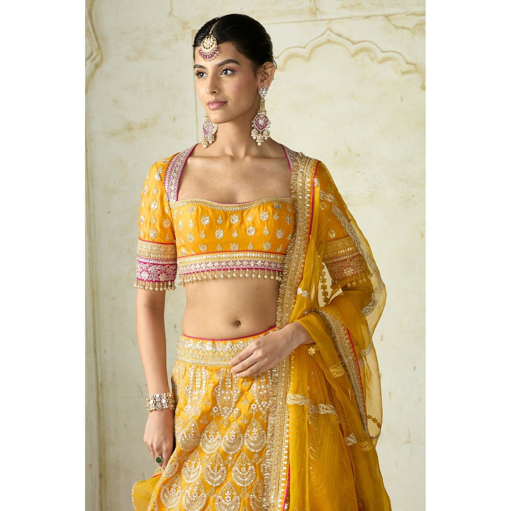 Gopi Vaid Haseena Mustard Skirt with Blouse and Dupatta