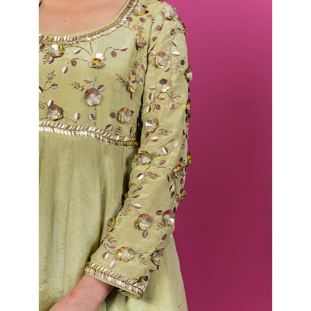 Harleen Kaur Green Tissue Hand Embroidered Anarkali with Pant and Dupatta (Set of 3)