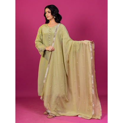 Harleen Kaur Green Tissue Hand Embroidered Kurta with Pant and Dupatta (Set of 3)