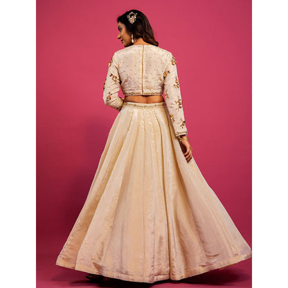Harleen Kaur Off White Tissue Hand Embroidered Lehenga with Blouse and Dupatta (Set of 3)