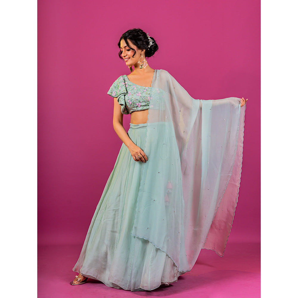 Harleen Kaur Sky Blue Hand Embroidered Lehenga with Blouse and Dupatta (Set of 3)
