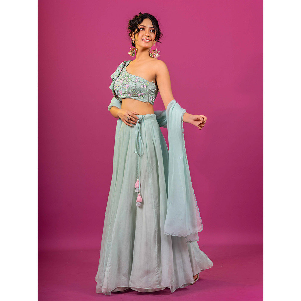 Harleen Kaur Sky Blue Hand Embroidered Lehenga with Blouse and Dupatta (Set of 3)