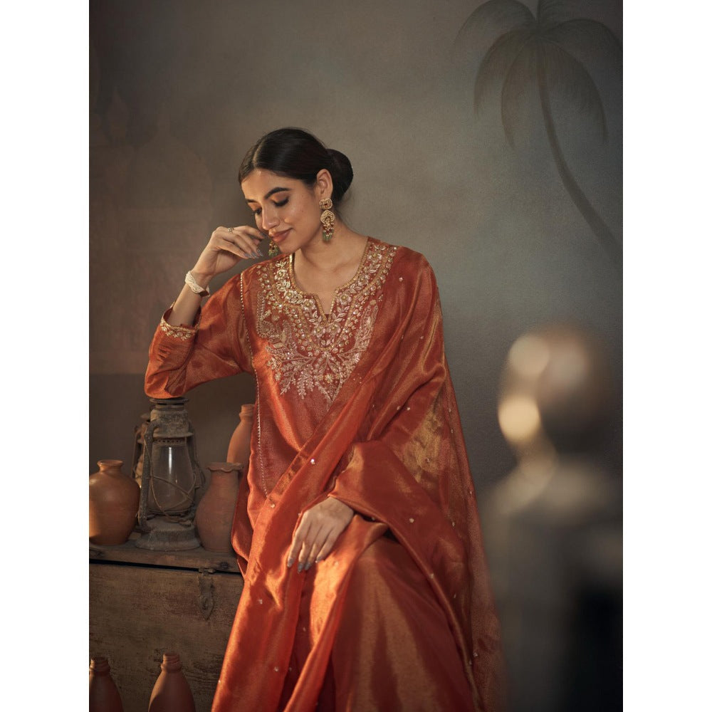 Hirika & Dhruti Rust Zardozi Work Tissue Anarkali with Pant and Dupatta (Set of 3)