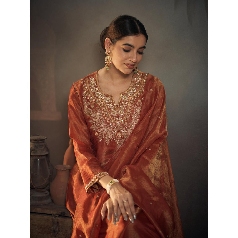 Hirika & Dhruti Rust Zardozi Work Tissue Anarkali with Pant and Dupatta (Set of 3)